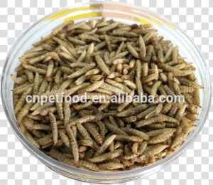 Wholesale Bird Food Fish Food Dried Black Soldier Fly   Grasshopper  HD Png Download