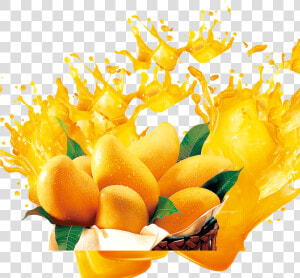 Juice Png Download Image   Mango Juice Splash Png  Transparent Png