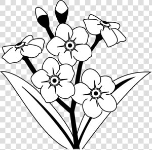 Most Popular Categories   Forget Me Not Flowers Drawing  HD Png Download