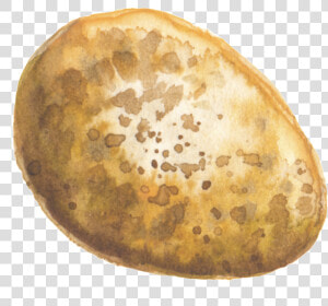 Transparent Pan Dulce Png   Fruit  Png Download