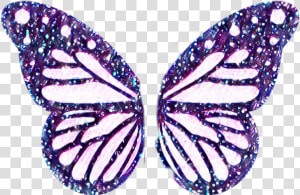  freetoedit  wings  butterfly  galazy  purple  blue   Big Butterfly Pictures For Drawing  HD Png Download