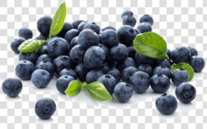 Blueberries Png Photo   Blueberries Png  Transparent Png