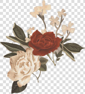 My Blood Shawn Mendes Flower  Hd Png Download   Png   Shawn Mendes Stickers  Transparent Png