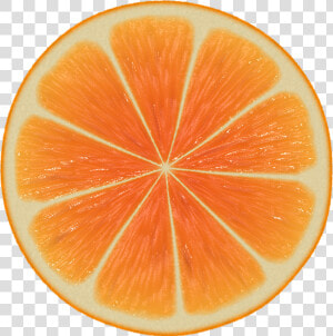 Orange citric Acid valencia   Half Cut Orange  HD Png Download