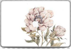 Peony Light Pink Skin Macbook Pro 17”   Common Peony  HD Png Download