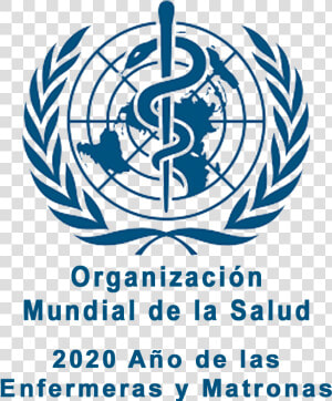 Modelo   World Health Organization 2019  HD Png Download