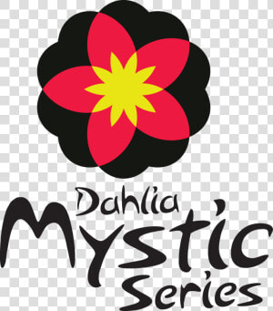 Image Of Dahlia Mystic Illusion  HD Png Download