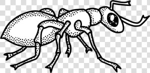 Ant Black And White Ant Clipart Outline Collection   Clip Art Black And White Ant  HD Png Download