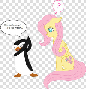 Penguins Of Madagascar Clipart Madagascar Name   Fluttershy Is So Cute  HD Png Download