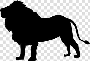 Lion Png Silhouette   Silhouette Lion Png  Transparent Png