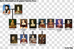 Tudor Family Tree Henry Vii  HD Png Download