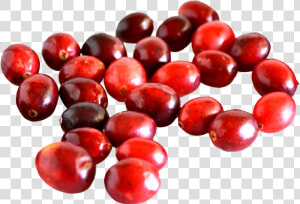 Cranberry Png Image   Difference Between Cranberry And Cherry  Transparent Png