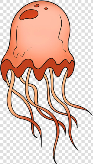 How To Draw A Jellyfish   Cartoon Jellyfish Free Clipart  HD Png Download