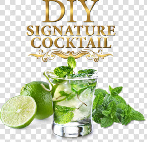 Signature Cocktails   Lime Signature Drink  HD Png Download