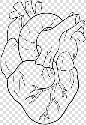 Easy Drawing Guides On Twitter Are You Ready To Draw   Real Easy Heart Drawings  HD Png Download