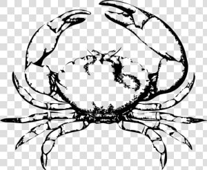 Crab Frames Illustrations Hd   Black And White Crab  HD Png Download