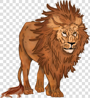 Lion   Masai Lion  HD Png Download