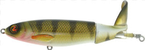 River2sea Whopper Plopper Perch  HD Png Download