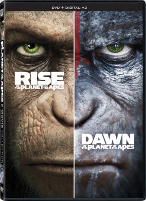 Rise Of The Planet Of The Apes Dawn Of The Planet Of  HD Png Download