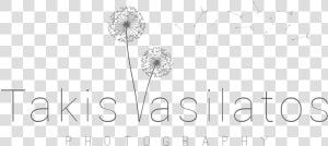 Takis Vasilattos Photography   Dandelion  HD Png Download