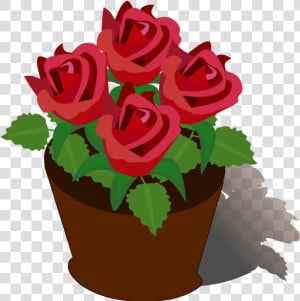 Petal plant flower   Rose Flower Pot Drawing  HD Png Download