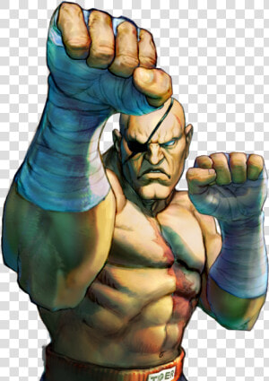 Street Fighter Origin Sagat   Png Download   Sagat Street Fighter Png  Transparent Png