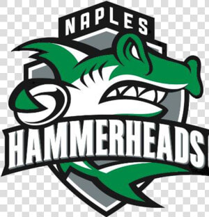 Naples Logo   Naples Hammerheads Rugby  HD Png Download