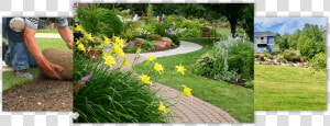 Landscape Designs   Paths In Garden Design  HD Png Download