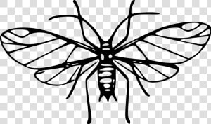 Cartoon Mosquito Clipart Wikiclipart   Clip Art Image Mosquito Black And White  HD Png Download