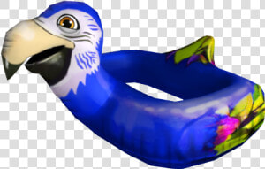 Blue Macaw Floatie  HD Png Download