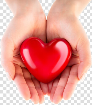 Transparent Hand Heart Png   Heart In Hand Png  Png Download