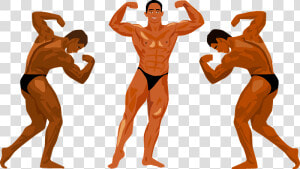 Bodybuilding Competition Clipart   Barechested  HD Png Download