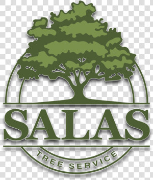 Salas Tree Service  HD Png Download