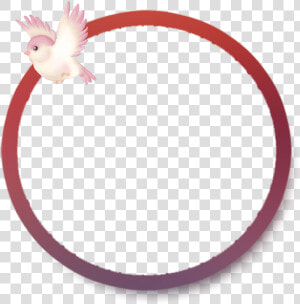  mq  pink  bird  circle  frame  frames  border  borders   Circle  HD Png Download