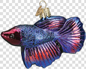 Betta Fish Ornament Old World Christmas At Its ornamental   Betta Fish Christmas Ornament  HD Png Download