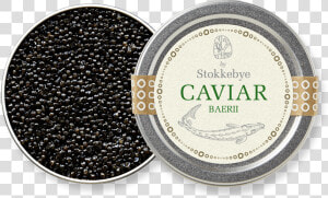 Caviar  HD Png Download