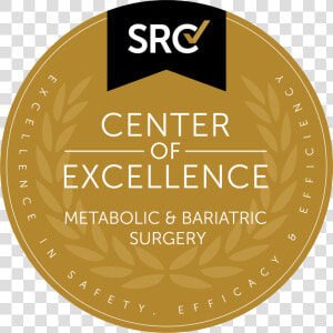 Centre Of Excellence Bariatric Surgery  HD Png Download