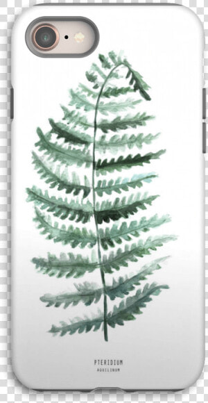 Pteridium Aquilinum Case Iphone 8 Tough   Bracken  HD Png Download