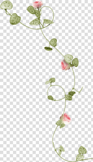  mq  pink  flowers  vines  leaf   Watercolor Flower Vine Png  Transparent Png