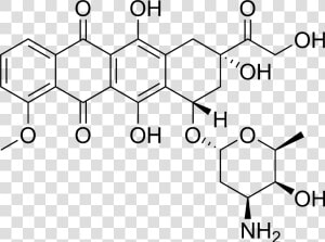 Doxorubicin Chemical Structure   Filgrastim Molecule  HD Png Download