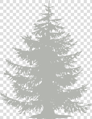 Chinook Fest   Pine Tree Flat Design  HD Png Download