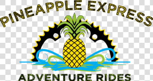 Pineapple Express Logo Outlined  HD Png Download