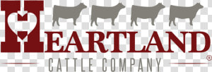 Heartland Cattle Company  HD Png Download