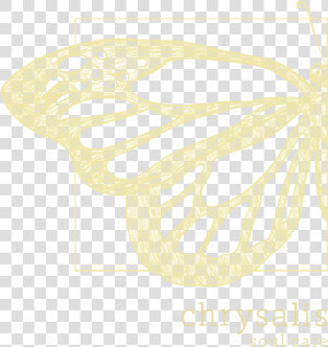 Logo   Efecto Mariposa Poster  HD Png Download