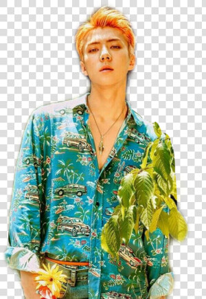  sehun  exo  kokobop  freetoedit  HD Png Download