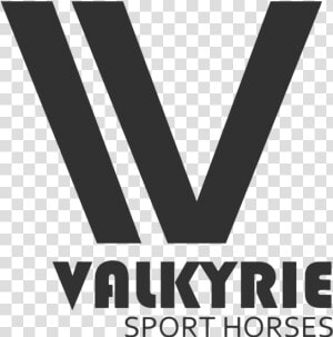 Valkyrie Option 1   Graphics  HD Png Download