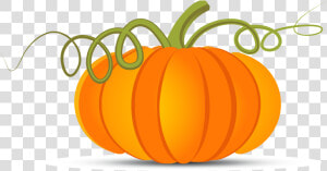 Pumpkin Vector Png   Pumpkin Vector Transparent Background  Png Download