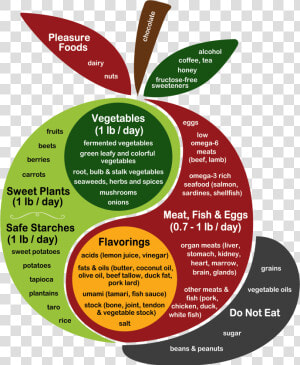 Kind Readers Have Translated The Perfect Health Diet   Perfect Health Diet  HD Png Download