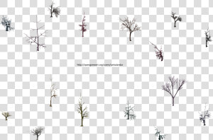 Hjm Dead Trees 1 Alpha   Tree  HD Png Download