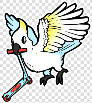 Rad Cockatoo   Cartoon  HD Png Download